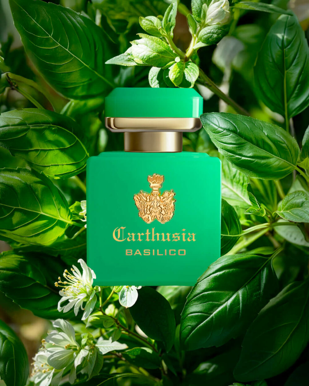 Carthusia Intenso di Basilico Parfum - immagine 3