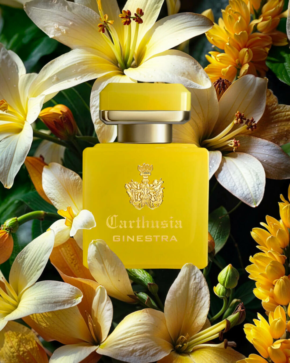 Carthusia Profumo Intenso Ginestra Parfum - immagine 3
