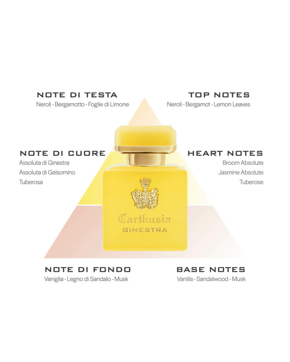 Carthusia Profumo Intenso Ginestra Parfum - immagine 4