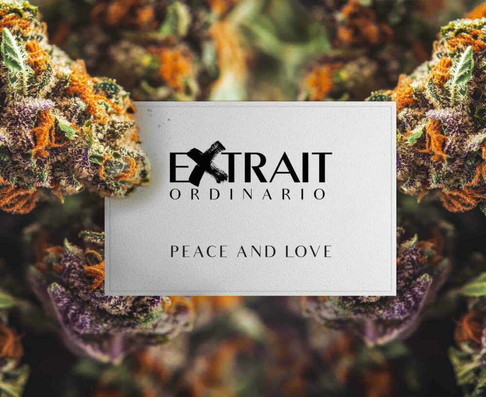 Extrait Ordinario - Peace and Love Eau de Parfum - immagine 4